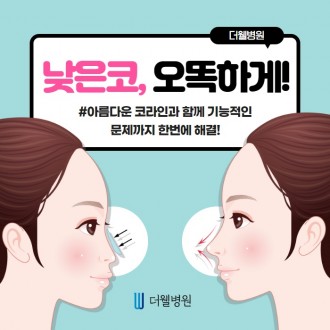 낮은 코, 오똑하게!