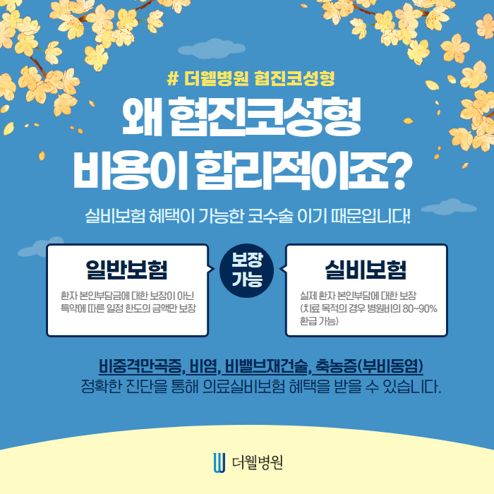 코성형 합리적 비용으로 할 수 있는 방법!! (3/11)